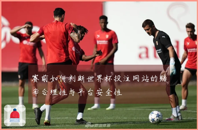 赛前如何判断世界杯投注网站的赔率合理性与平台安全性