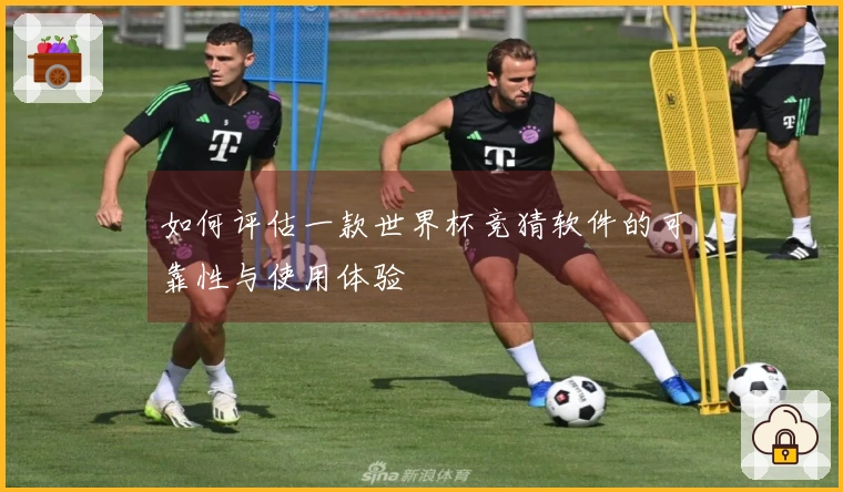 如何评估一款世界杯竞猜软件的可靠性与使用体验