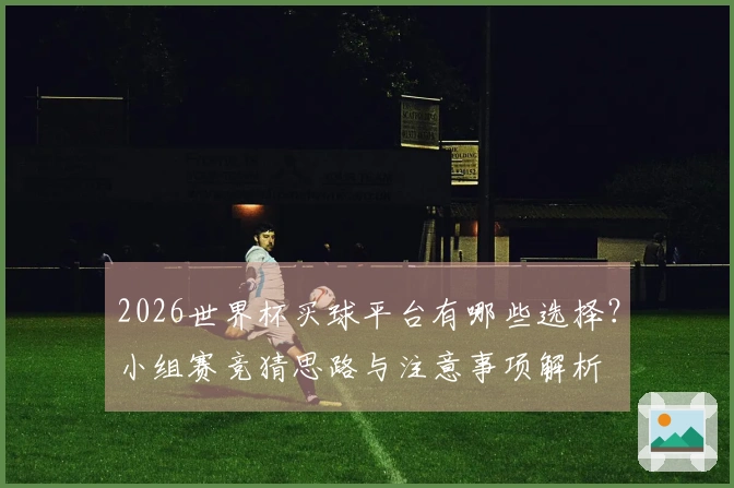2026世界杯买球平台有哪些选择？小组赛竞猜思路与注意事项解析