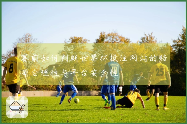 赛前如何判断世界杯投注网站的赔率合理性与平台安全性