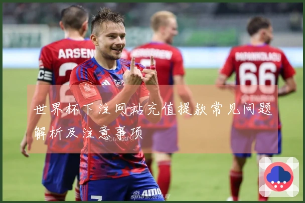 世界杯下注网站充值提款常见问题解析及注意事项